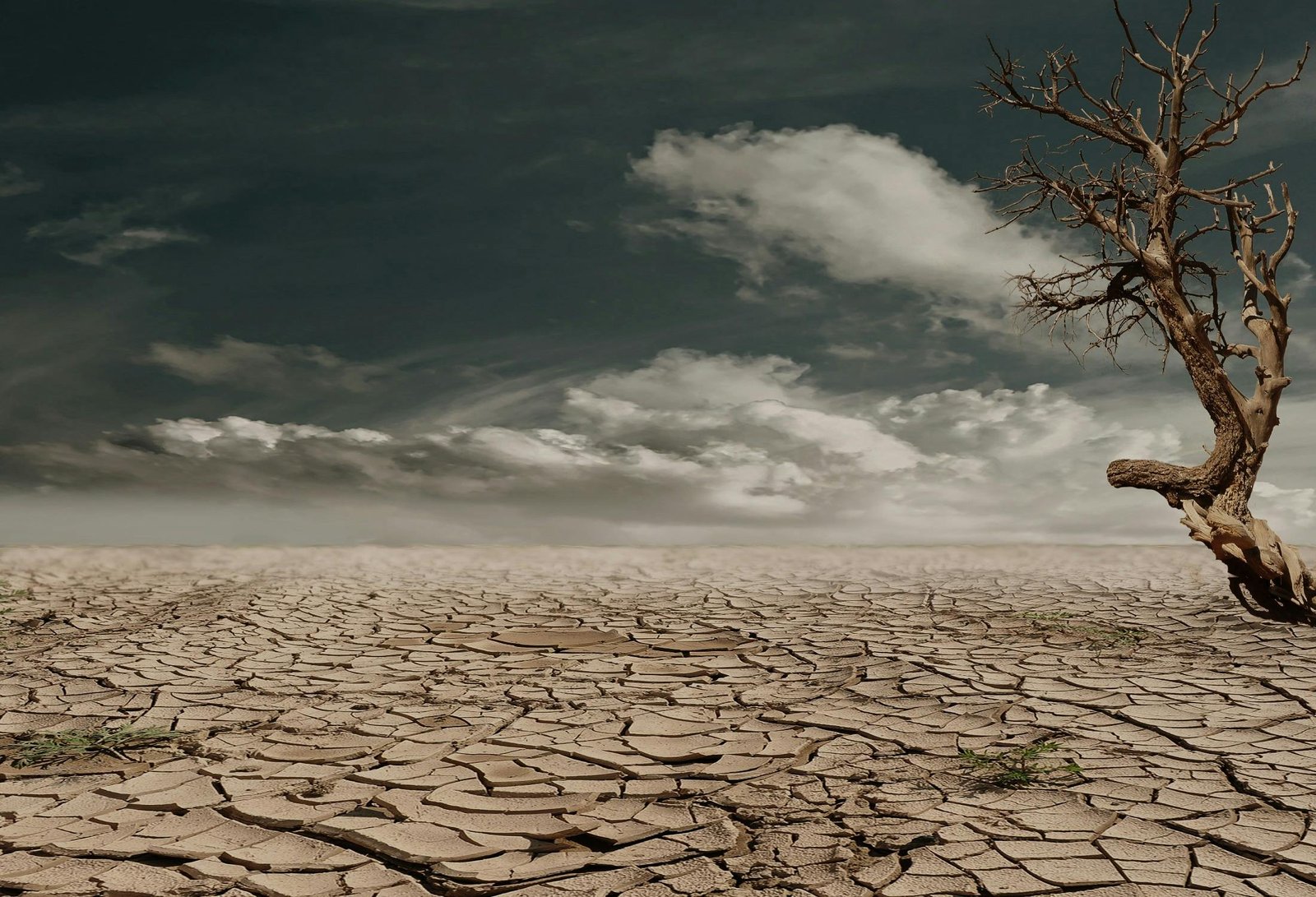 Environmental Protection