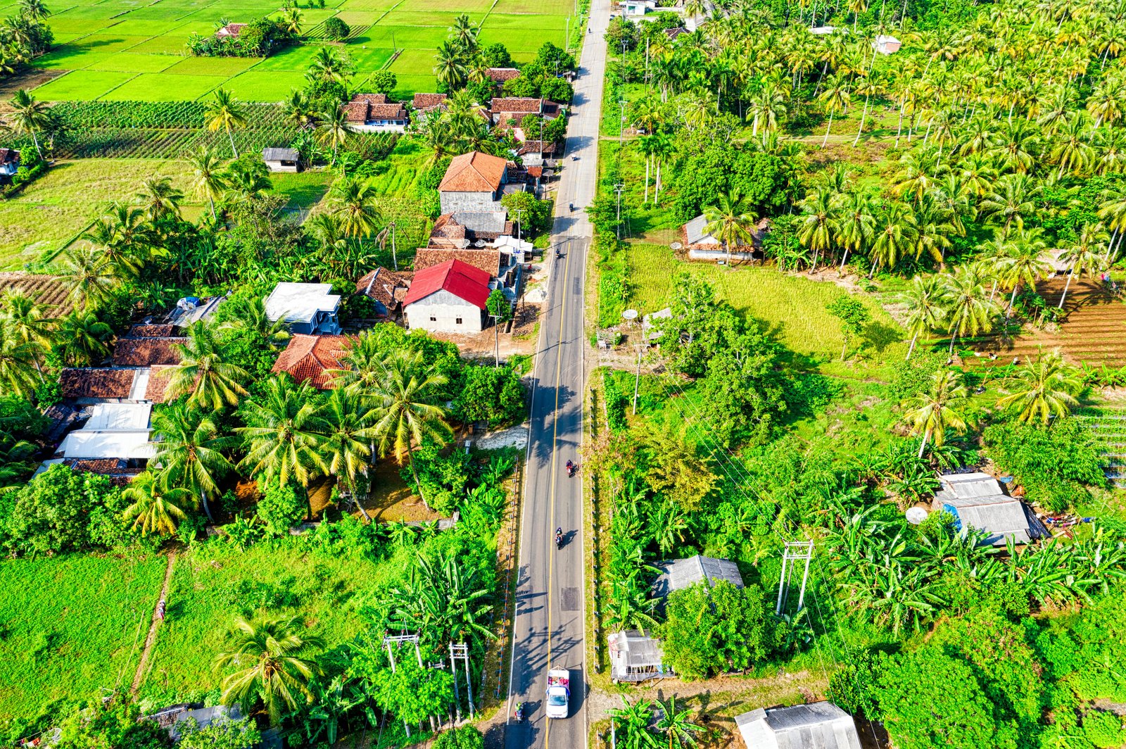 Rural Development